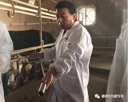 “愛·健·康”技術(shù)交流會 ----圍產(chǎn)期營養(yǎng)管理技術(shù)交流暨蓋棒新產(chǎn)品發(fā)布會1254.png